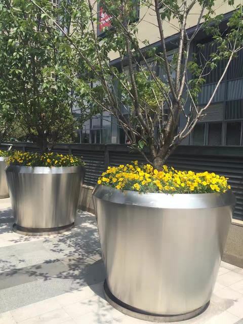 花盆9.jpg